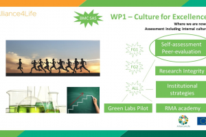 Alliance4Life´s Self-assessment Template Submitted